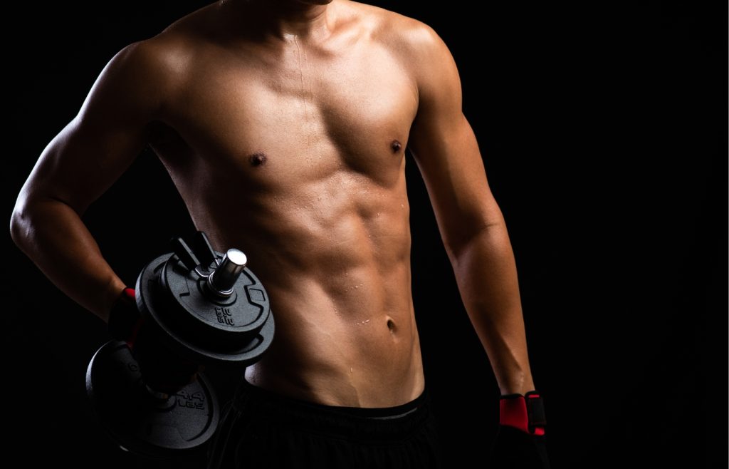exercices musculation débutant