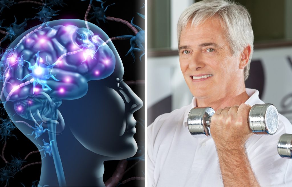 L’effet surprenant de la musculation sur la mémoire : Découvrez comment elle booste vos capacités cognitives