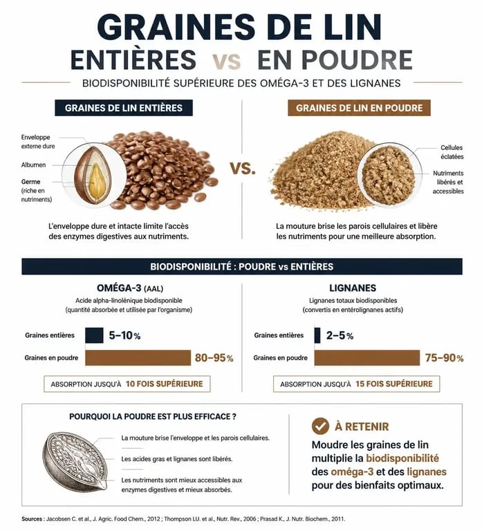 Infographie sur les bienfaits et la préparation de la graine de lin en poudre